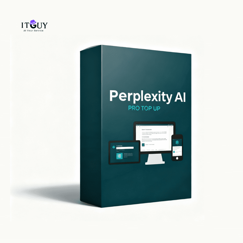 Perplexity Pro