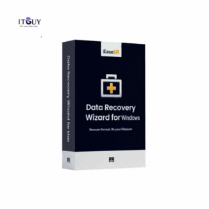 EaseUS Data Recovery Wizard Professional