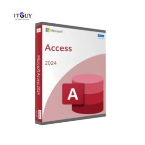 Microsoft Access 2024
