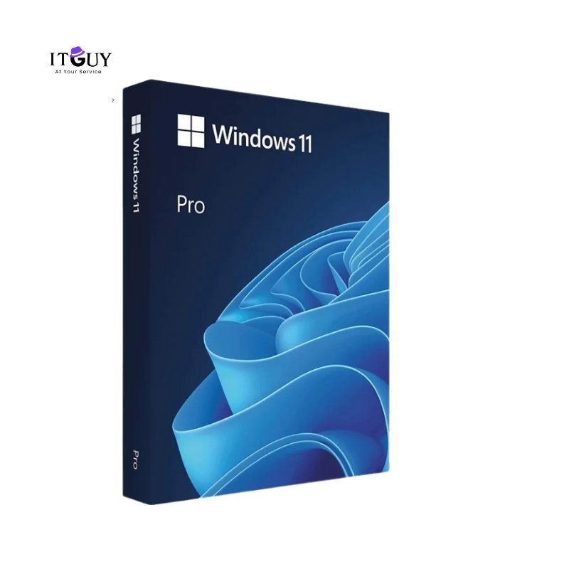 Windows 11 Pro product box