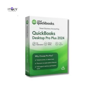 QuickBooks Desktop Pro Plus 2024 product box