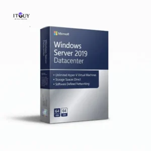 Microsoft Windows Server 2019 Datacenter product box